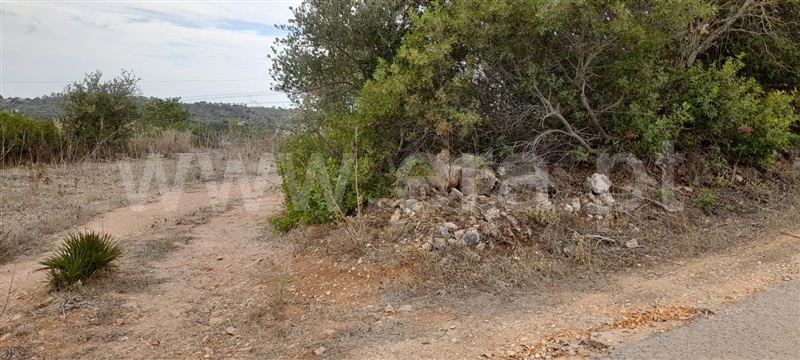 Terreno Rústico  com Agrícola Silves, Algoz - 1349303 - 8