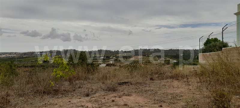 Terreno Rústico  com Agrícola Silves, Algoz - 1349303 - 9