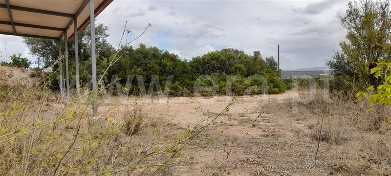 Terreno Rústico  com Agrícola Silves, Algoz - 1349303 - 10