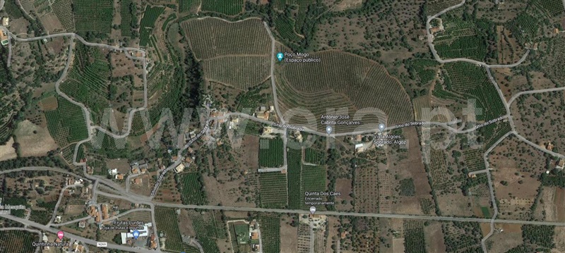 Terreno Rústico  com Agrícola Silves, Algoz - 1349304 - 1