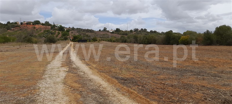 Terreno Rústico  com Agrícola Silves, Algoz - 1349304 - 2
