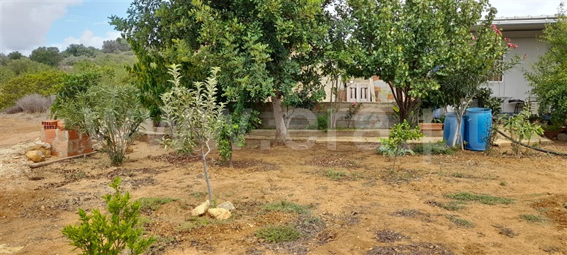 Terreno Rústico  com Agrícola Silves, Algoz - 1349304 - 5