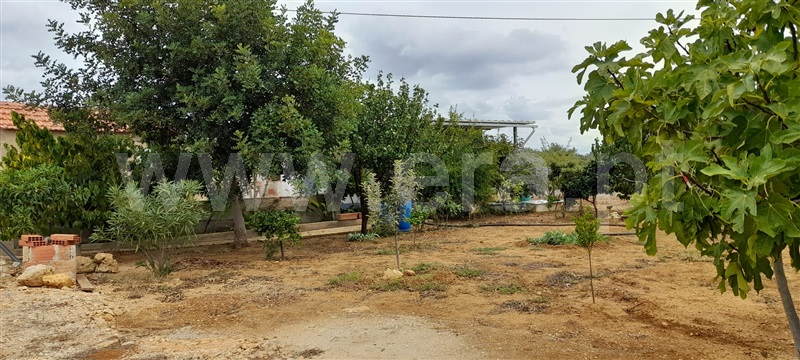 Terreno Rústico  com Agrícola Silves, Algoz - 1349304 - 6
