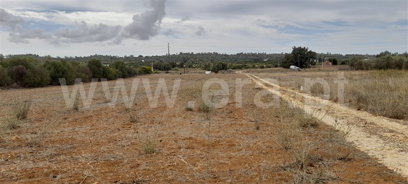 Terreno Rústico  com Agrícola Silves, Algoz - 1349304 - 7
