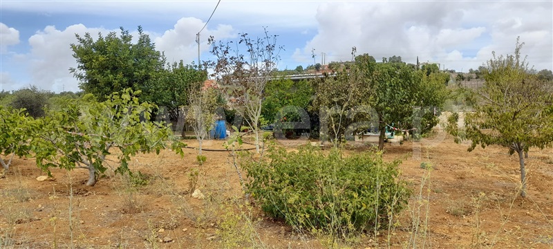 Terreno Rústico  com Agrícola Silves, Algoz - 1349304 - 9