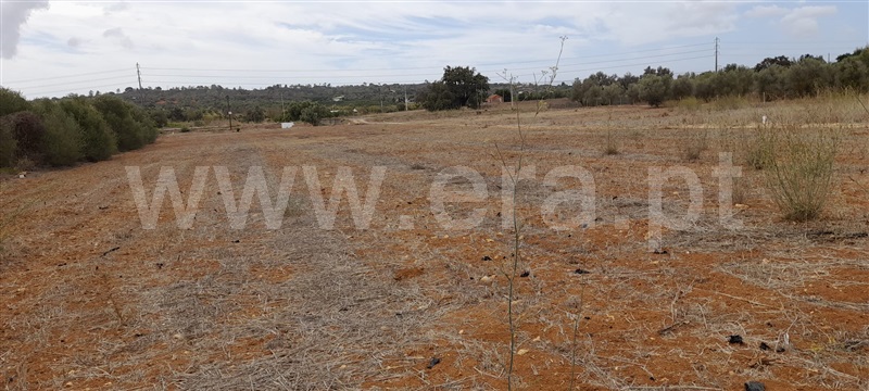 Terreno Rústico  com Agrícola Silves, Algoz - 1349304 - 10