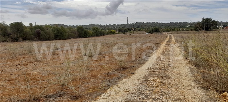 Terreno Rústico  com Agrícola Silves, Algoz - 1349304 - 11