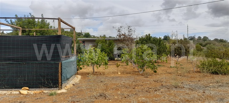 Terreno Rústico  com Agrícola Silves, Algoz - 1349304 - 13