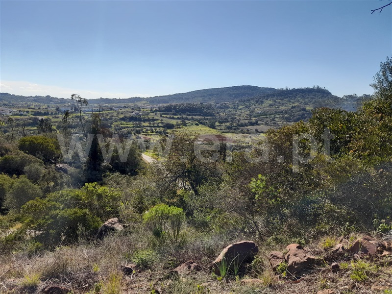 Terreno Rústico  Silves, São Bartolomeu de Messines - 1304336 - 2