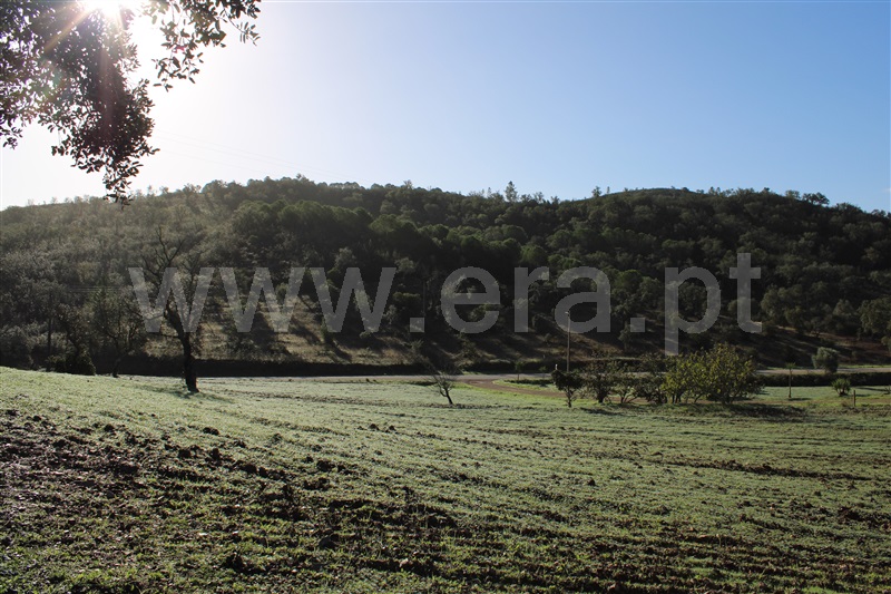 Terreno Rústico  Silves, São Bartolomeu de Messines - 1366540 - 10