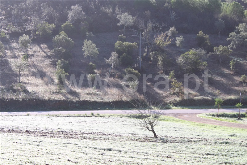 Terreno Rústico  Silves, São Bartolomeu de Messines - 1366540 - 11