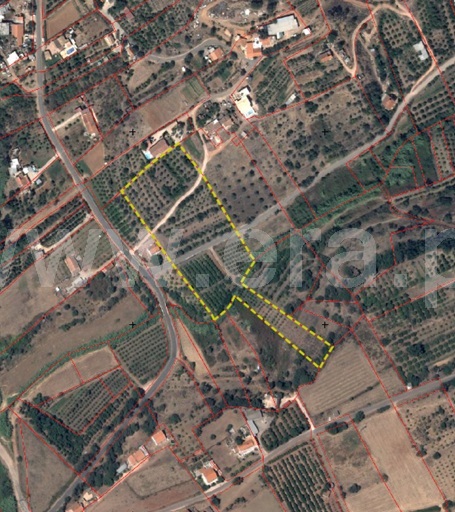 Terreno Rústico / Silves, Silves