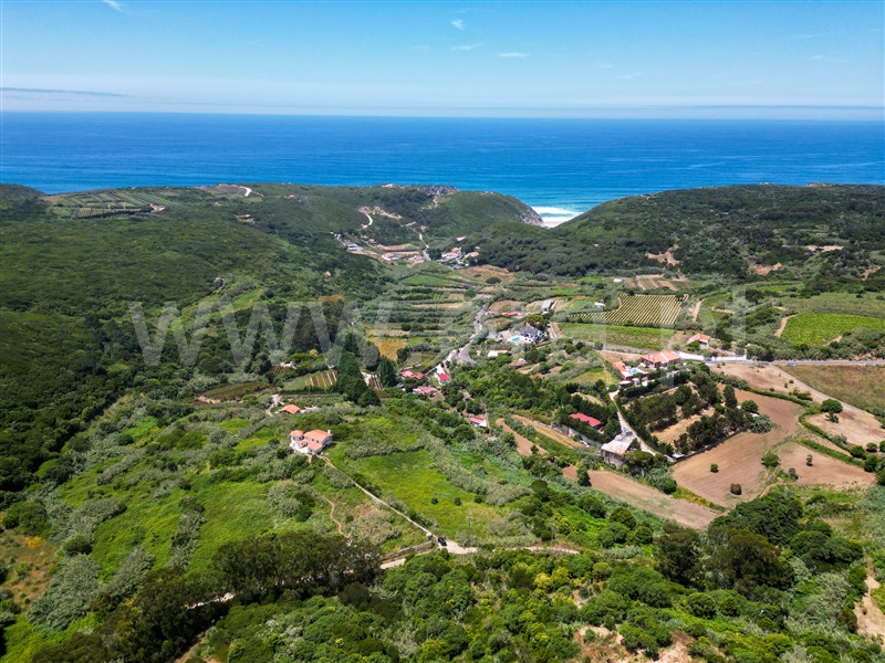 Terreno Rústico / Sintra, Almoçageme