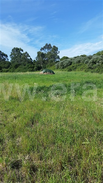 Terreno Rústico  Sintra, Colares - 1137696 - 2