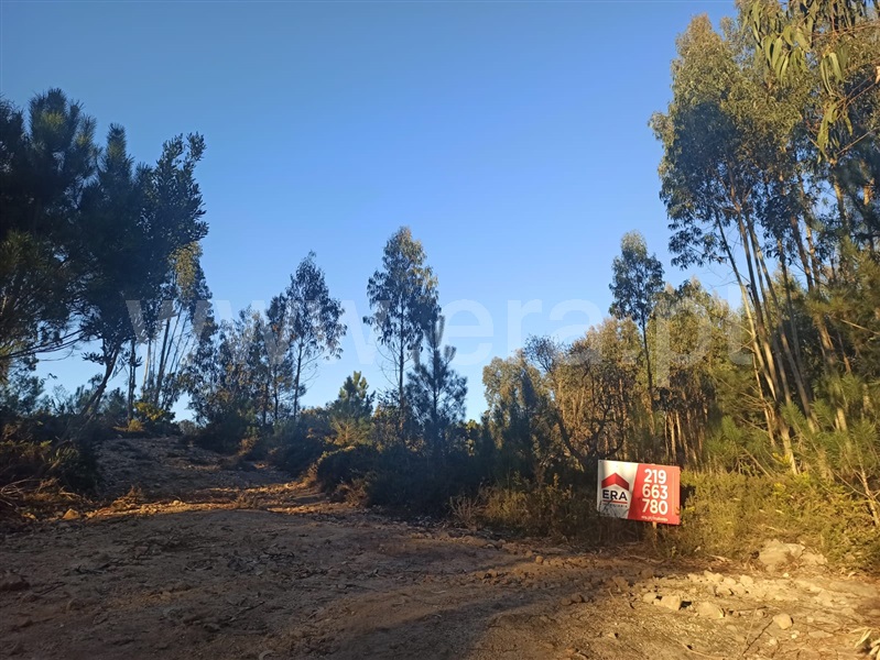 Terreno Rústico  Sintra, Covas de Ferro - 1224316 - 4