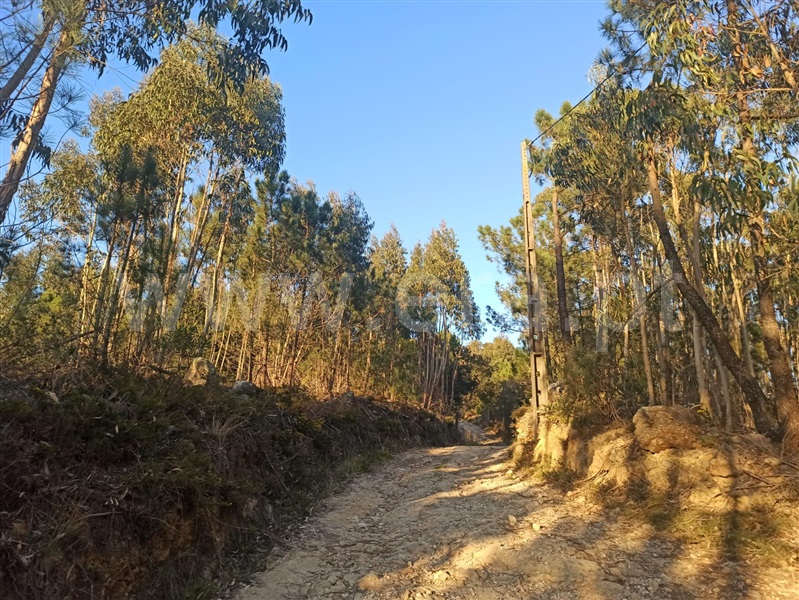 Terreno Rústico  Sintra, Covas de Ferro - 1224316 - 5