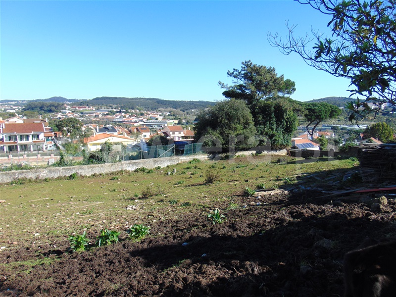 Terreno Rústico  Sintra, Quinta Grande -Rio de Mouro - 1300163 - 1