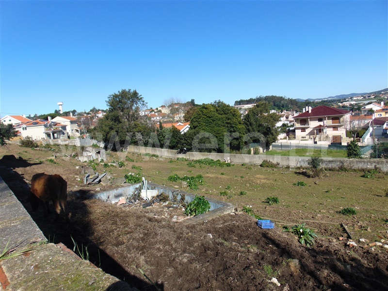 Terreno Rústico  Sintra, Quinta Grande -Rio de Mouro - 1300163 - 3
