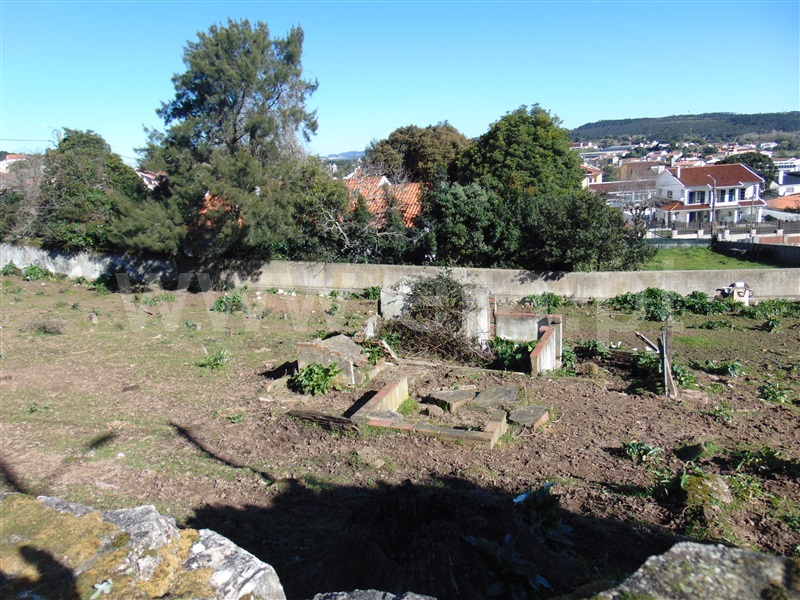 Terreno Rústico  Sintra, Quinta Grande -Rio de Mouro - 1300163 - 4
