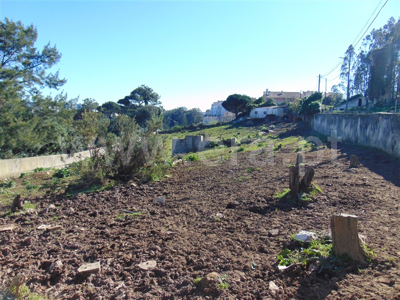 Terreno Rústico  Sintra, Quinta Grande -Rio de Mouro - 1300163 - 5