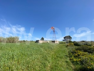 Terreno Rústico  Sintra, São João das Lampas e Terrugem - 1163255 - 5