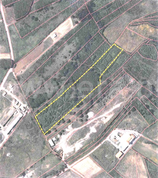 Terreno Rústico / Sintra, São João das Lampas e Terrugem