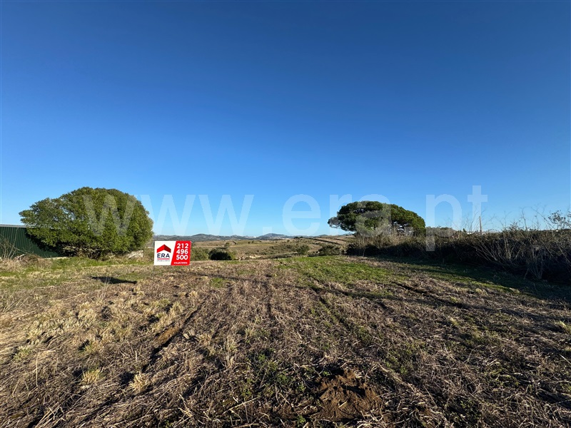 Terreno Rústico / Sintra, Terrugem