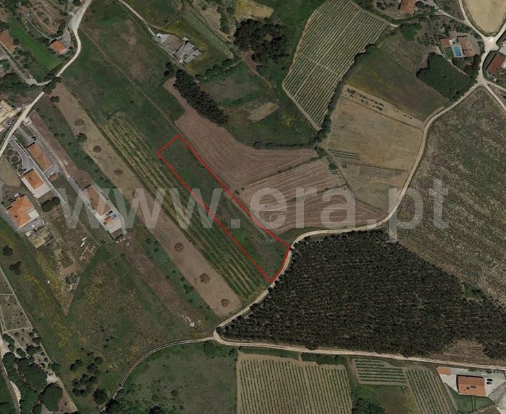 Terreno Rústico  Sobral de Monte Agraço, w - 1341356 - 2