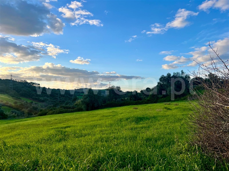 Terreno Rústico  com Agrícola Sobral de Monte Agraço, Serreira - 1443733 - 3