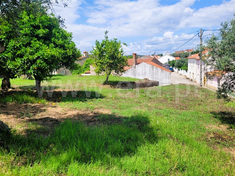 Terreno Rústico / Tomar, Casais e Alviobeira