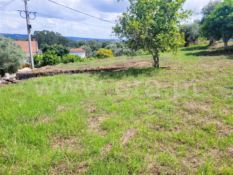 Terreno Rústico  Tomar, Casais e Alviobeira - 1327271 - 4