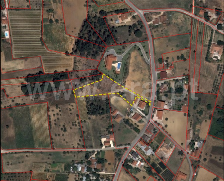 Terreno Rústico / Tomar, Madalena e Beselga