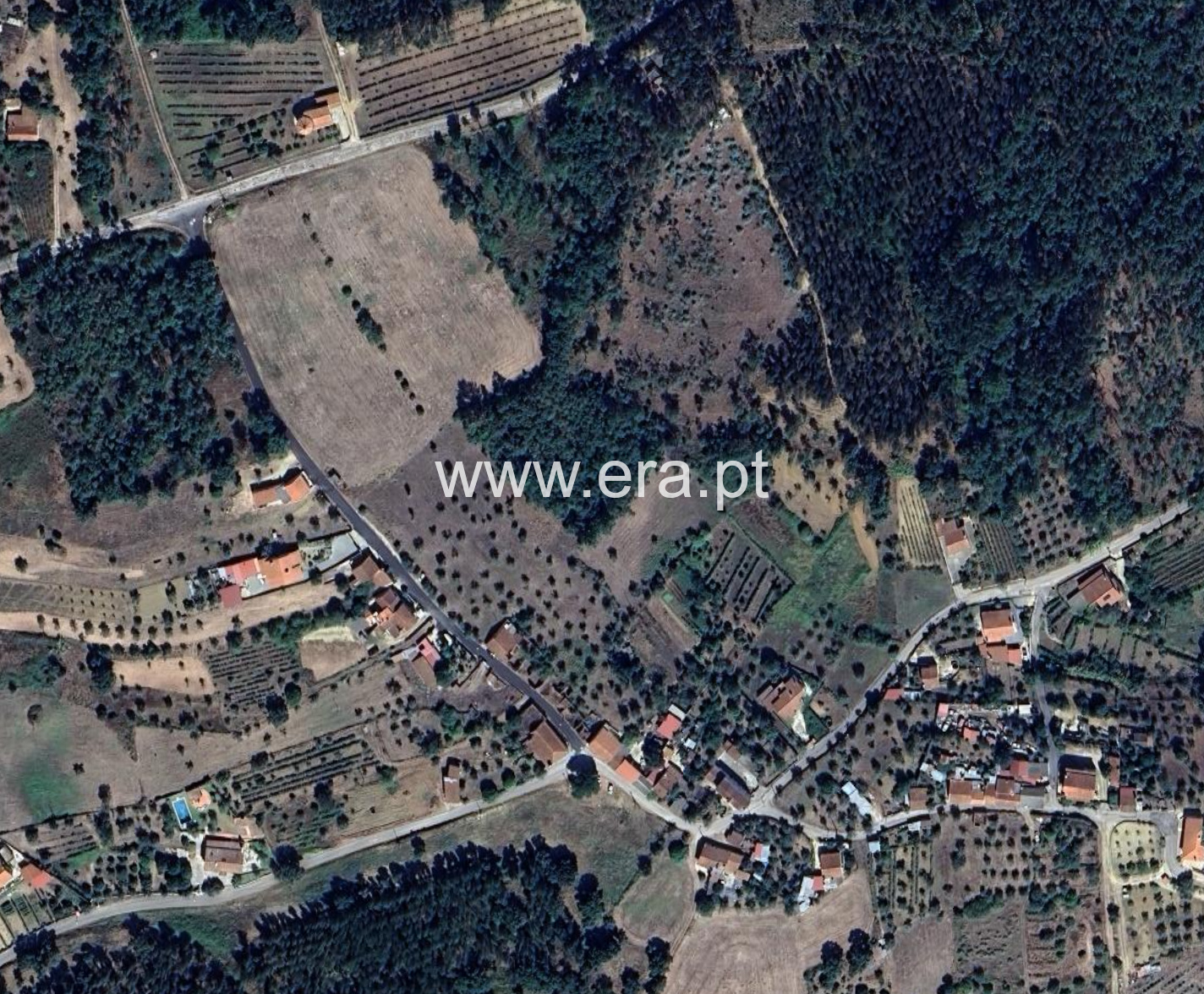 Terreno Rústico / Tomar, Olalhas