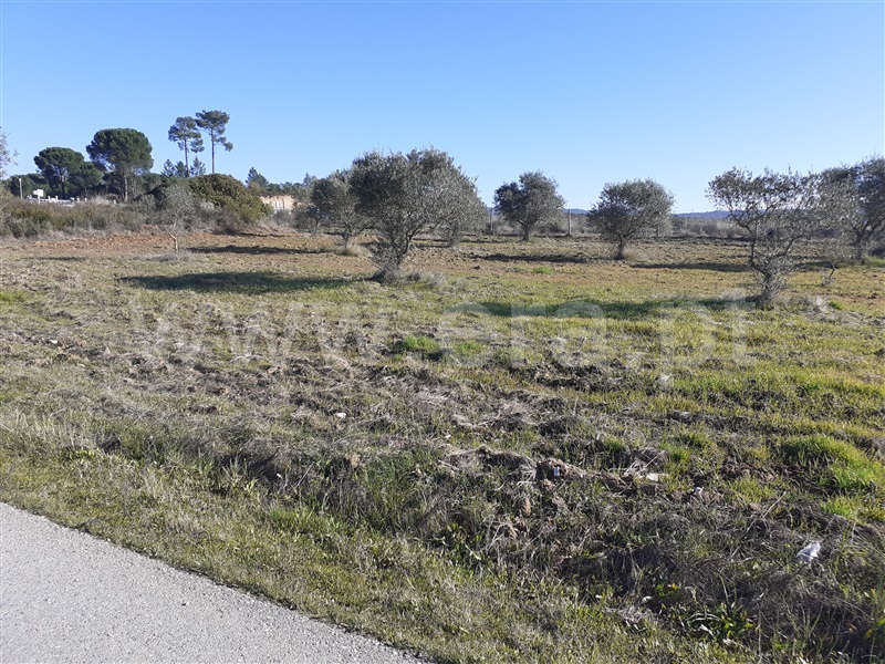Terreno  Tomar, São Pedro de Tomar - 1142637 - 2