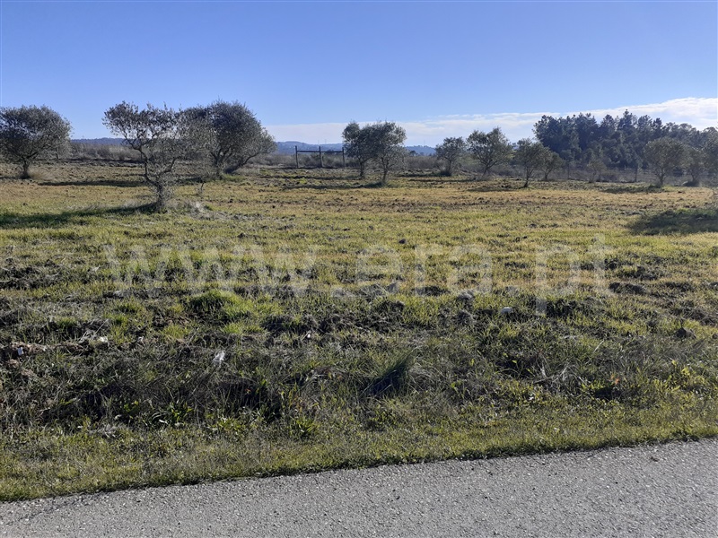 Terreno  Tomar, São Pedro de Tomar - 1142637 - 3