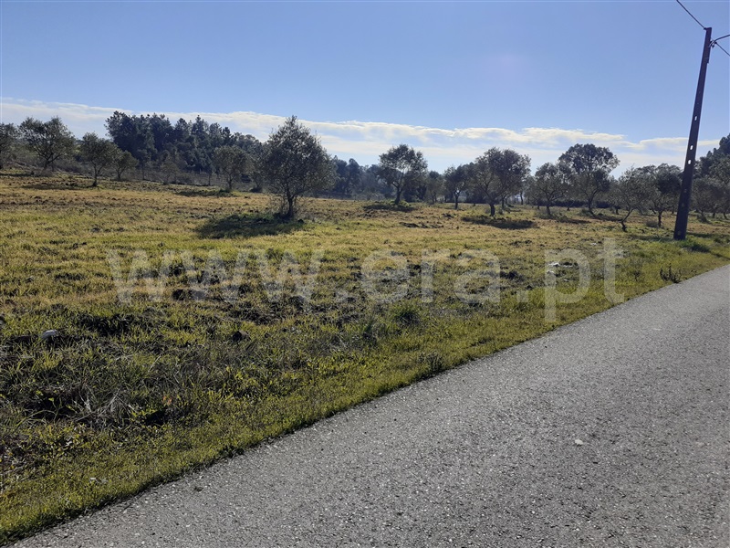 Terreno  Tomar, São Pedro de Tomar - 1142637 - 5