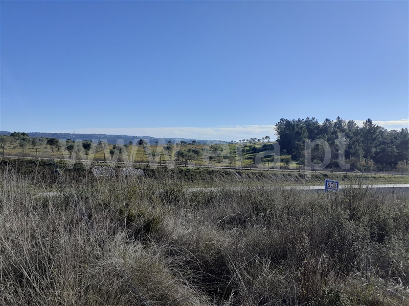 Terreno  Tomar, São Pedro de Tomar - 1142637 - 6