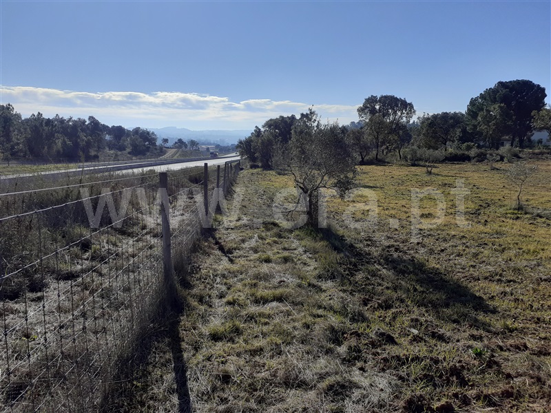 Terreno  Tomar, São Pedro de Tomar - 1142637 - 7