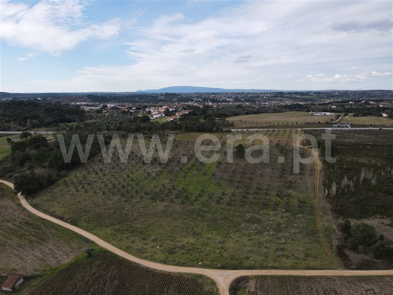 Terreno  Tomar, São Pedro de Tomar - 1142637 - 12
