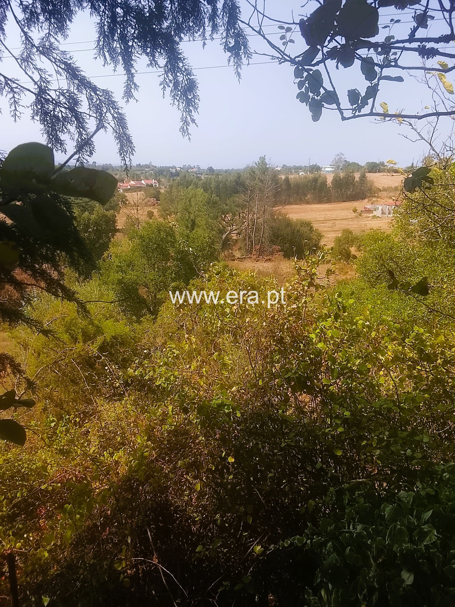 Terreno Rústico / Tomar, São Pedro de Tomar