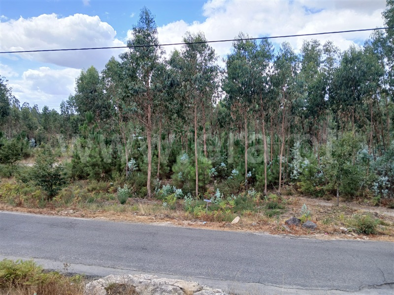 Terreno Rústico  Tondela, Lobão da Beira - 1505416 - 10