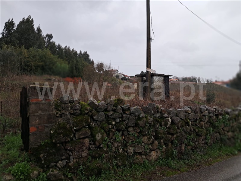 Terreno Rústico / Tondela, Mouraz e Vila Nova da Rainha