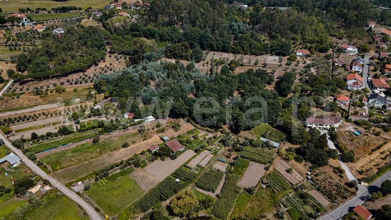 Terreno Rústico / Tondela, São Miguel do Outeiro e Sabugosa