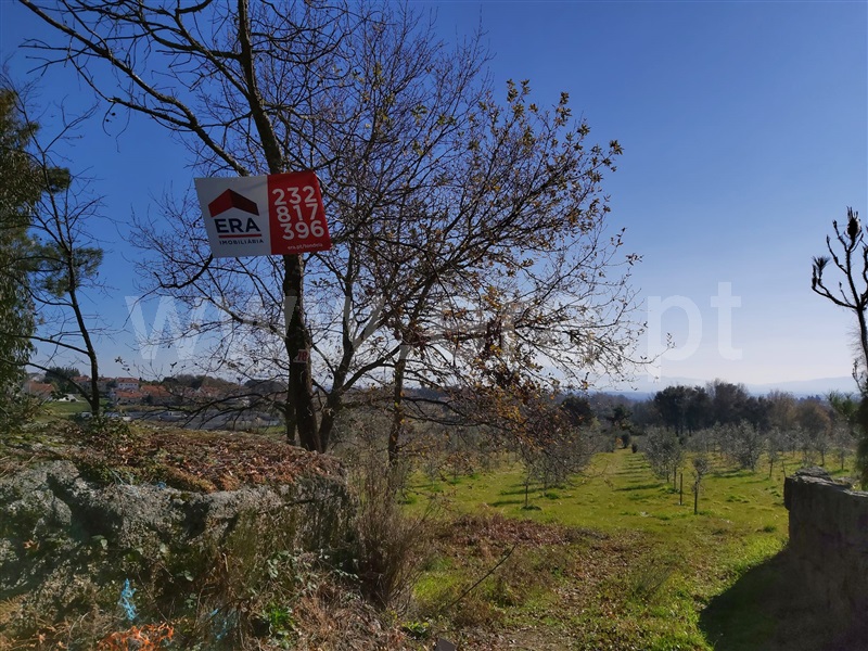 Terreno Rústico  Tondela, Tonda - 1224808 - 2