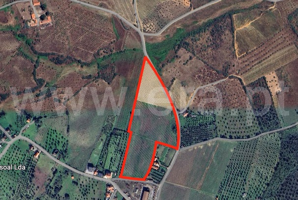 Terreno Rústico / Torre de Moncorvo, Horta da Vilariça