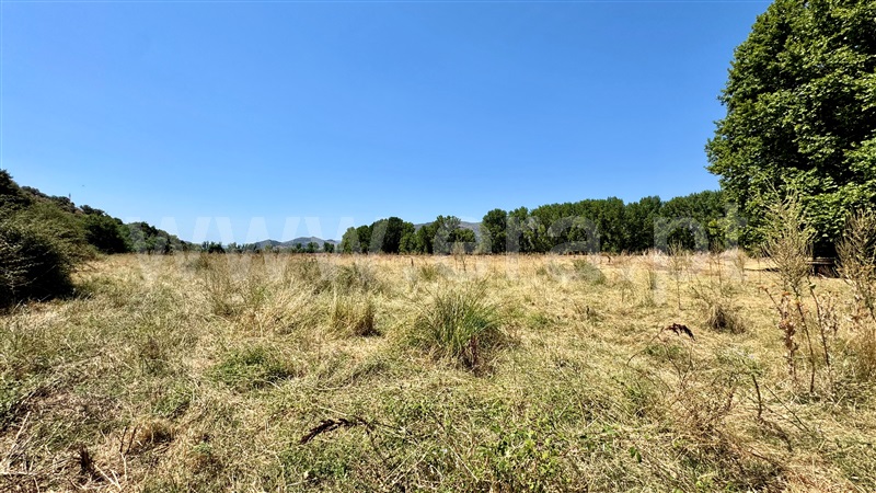 Terreno Rústico  Torre de Moncorvo - 1483500 - 8