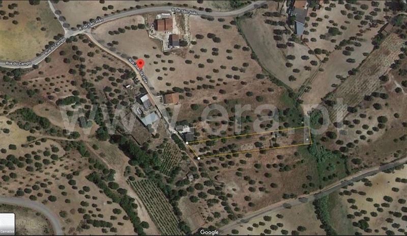 Terreno Rústico / Torres Novas, Torres Novas (Santa Maria, Salvador e Santiago)