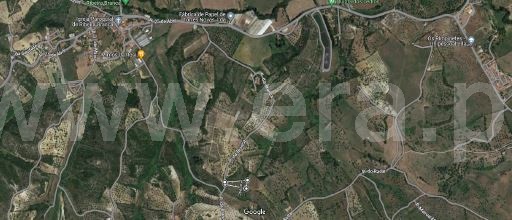 Terreno Rústico  Torres Novas, Torres Novas (São Pedro), Lapas e Ribeira Branca - 1298482 - 2