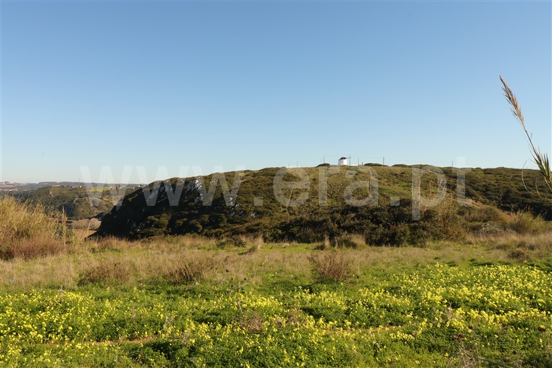 Terreno Rústico / Torres Vedras, A dos Cunhados e Maceira