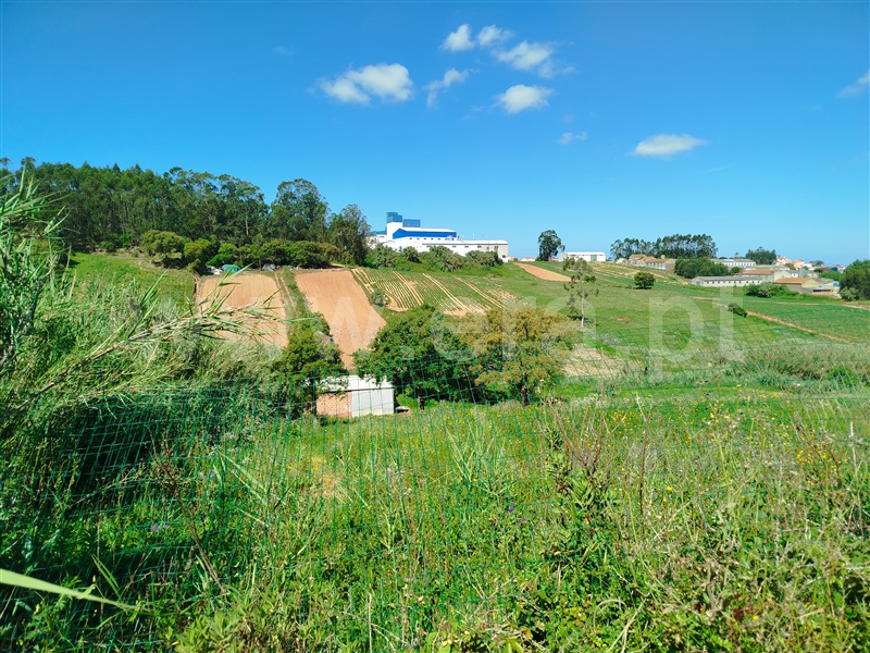 Terreno Rústico / Torres Vedras, Campelos e Outeiro da Cabeça
